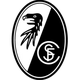 弗赖堡女足 logo