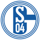 沙尔克04U19 logo
