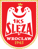弗罗茨瓦夫女篮 logo