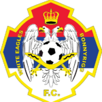 保尼白鹰U20  logo